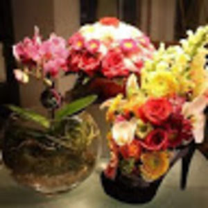 Meet your Posher, Grace